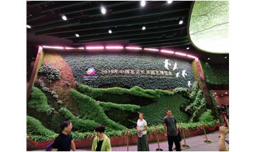 2019北京世園會，我們來啦