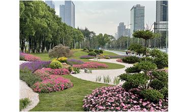 來(lái)現(xiàn)場(chǎng)打卡，感受“美麗無(wú)錫”的美好